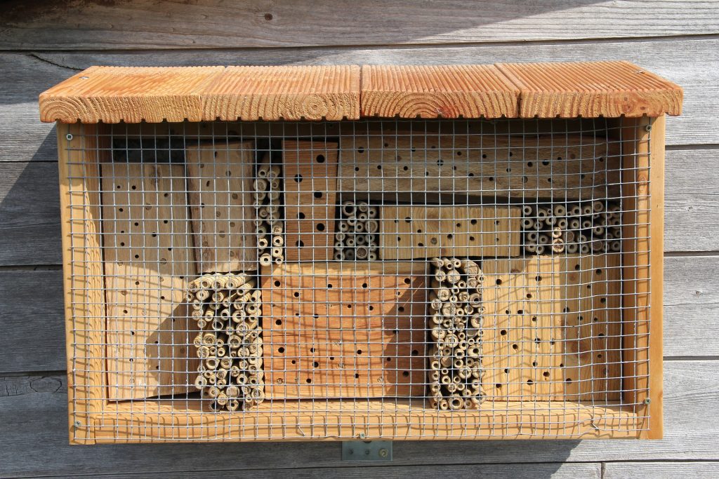 domek dla pszczół ogrodowych murarek